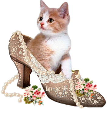 Chaton