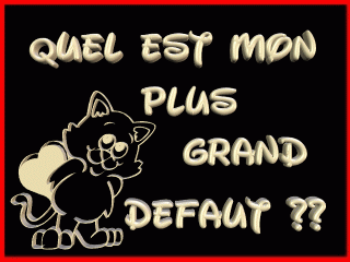 D&eacute;faut